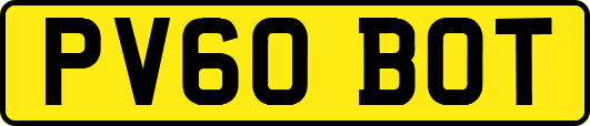 PV60BOT