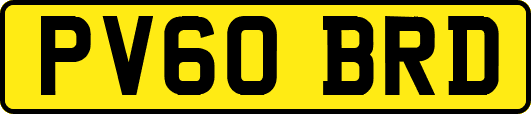 PV60BRD