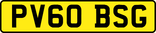 PV60BSG