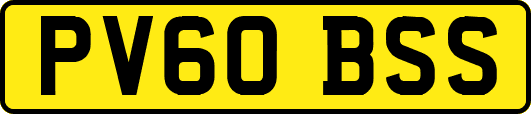 PV60BSS