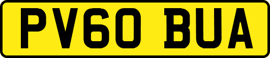 PV60BUA