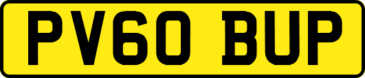 PV60BUP