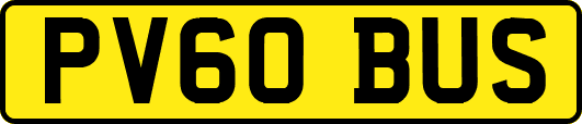 PV60BUS