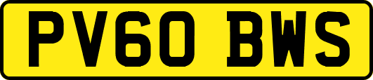 PV60BWS