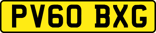 PV60BXG