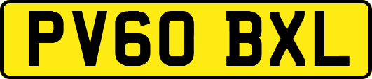 PV60BXL