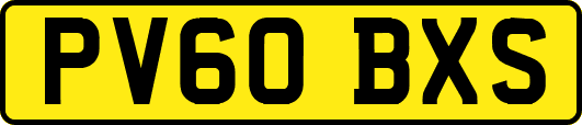 PV60BXS
