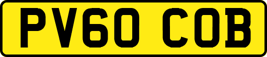 PV60COB