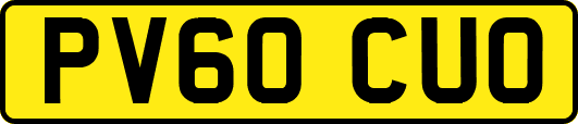 PV60CUO