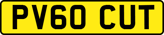 PV60CUT