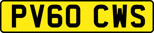 PV60CWS