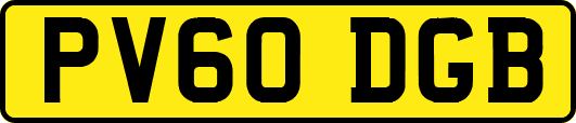 PV60DGB