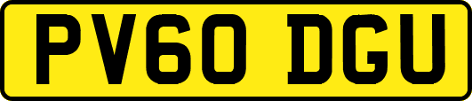 PV60DGU