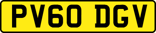 PV60DGV