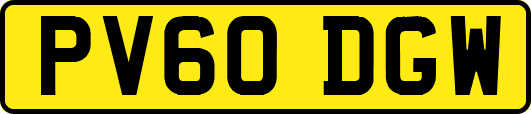 PV60DGW