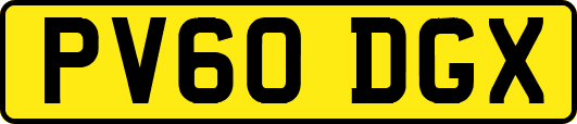 PV60DGX