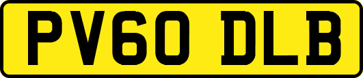 PV60DLB