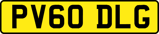 PV60DLG
