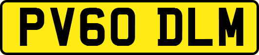 PV60DLM