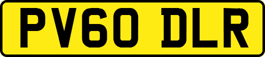 PV60DLR