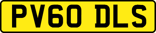 PV60DLS