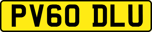 PV60DLU
