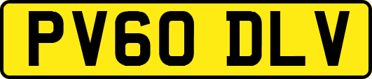 PV60DLV