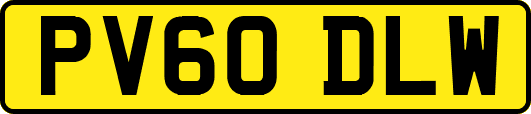 PV60DLW