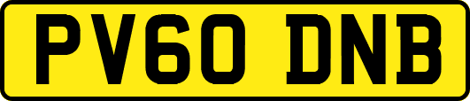 PV60DNB