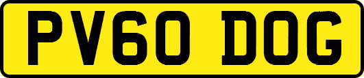 PV60DOG