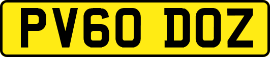 PV60DOZ