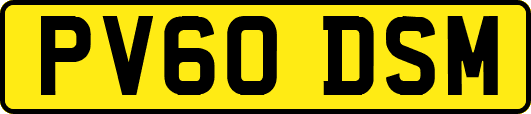 PV60DSM