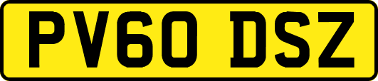 PV60DSZ
