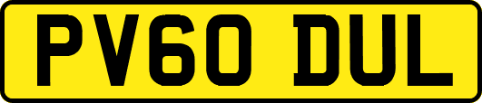 PV60DUL