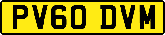 PV60DVM