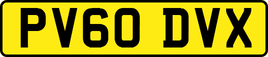 PV60DVX