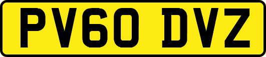 PV60DVZ