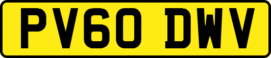 PV60DWV