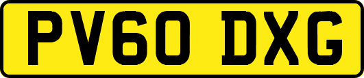 PV60DXG