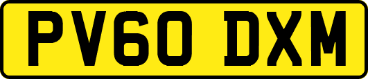 PV60DXM
