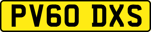 PV60DXS