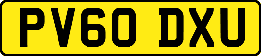 PV60DXU