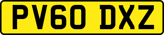 PV60DXZ