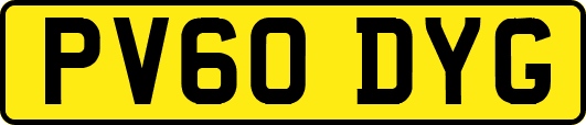PV60DYG