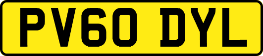 PV60DYL