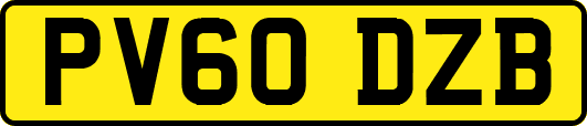 PV60DZB