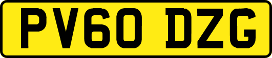 PV60DZG