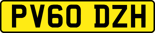 PV60DZH