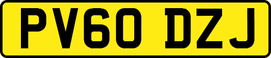 PV60DZJ