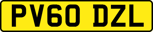 PV60DZL
